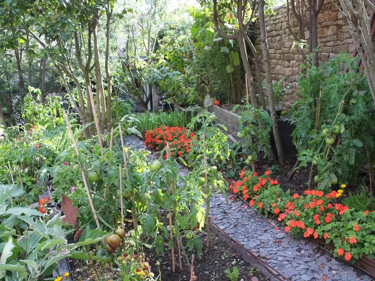 Ti Laouenek Bed & Breakfast Vannes